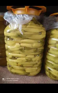 ترشی بیلهر درجه 1