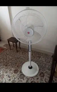 پنکه