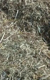 یونجه خشک خرد شده