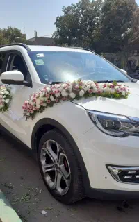 اجاره ماشین عروسی(ویژه اتباع محترم افغانستان)
