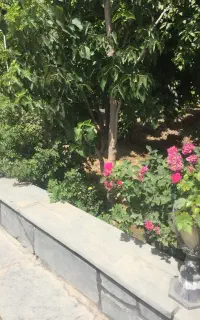 کار در باغ ویلا