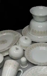 آرکوپال49502