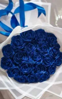 گل ابی