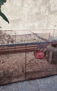 قفس بزرگ برای مرغ و خروس