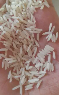 دونوج ارگانیک طارم هاشمی