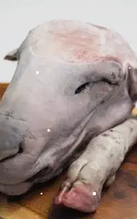 پاک کردن کله گوسفند