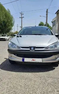 ۲۰۶ فرانسوی ۱۳۸۹ بدون رنگ