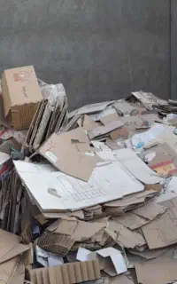 استخدام نیرو اتباع