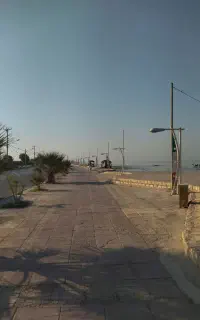 تور ۳روزه بوشهر فقط یک نفر