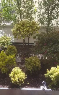مسافرت
