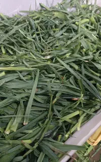 نیرو خانم برا انبار سبزی