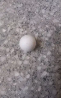 سنگ آسیاب اصل