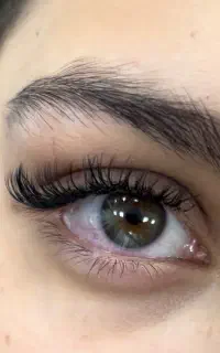 مژه