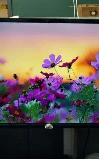 تلویزیون TCL سایز ۳۲ اینچ