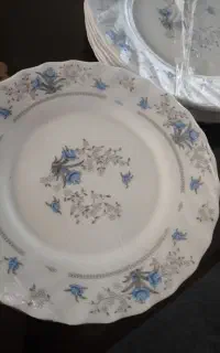 پارس اوپال اصل