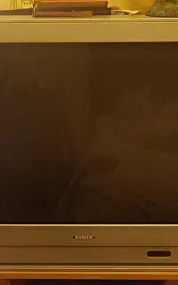 تلویزیون