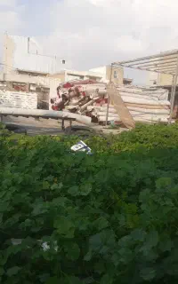 قالیشویی ومبل شویی4010