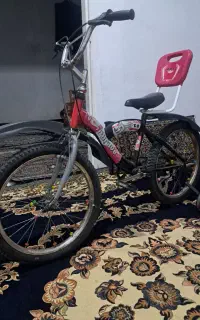 دوچرخه ۲۰ بدون دنده