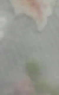 فروش خط