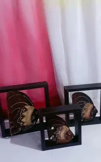 باکس