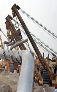 فروش رتبه 5 خرید شرکت پیمانکاری آماده گندم نیل