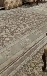 نظافت منزل
