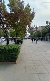 کار میخوام