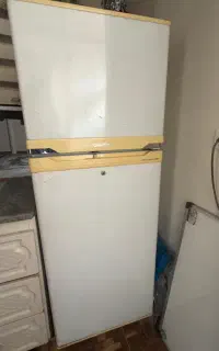 یخچال گلداستار