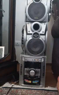 ضبط خانگی
