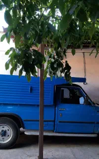 حمل بار به تمام نقاط کشور