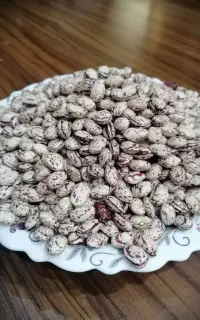 لوبیا چیتی صورتی بذری،  خیارشور الوچه پودر فلفل