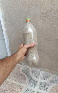 خشخاش دانه روغنی گیاهی