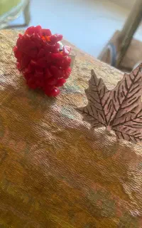 دوعدد انگشتر