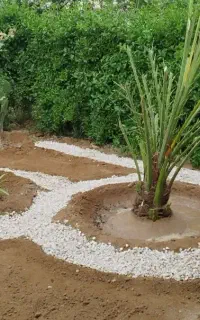 خدمات باغبانی