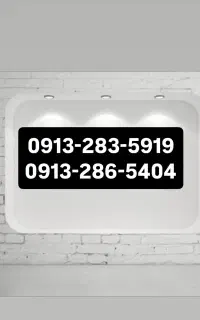 09132835919