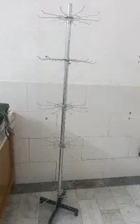 بندرخت