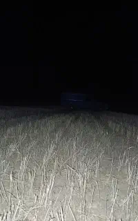 فروش کاه درجه یک خرد نرم