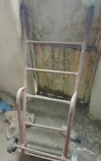 فرغون باربری