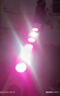 نور مخصوص رشد گیاه