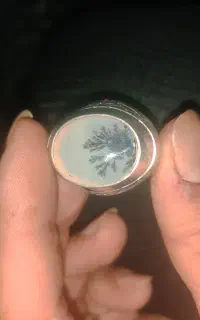 یک عدد انگشتر شجر قاین