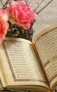 فال و سرکتاب کامل و دقیق بدون گفتن نیت