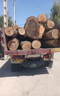 خرید ک فروش چوب باغی