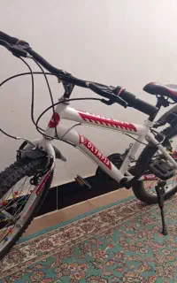 دوچرخه 20