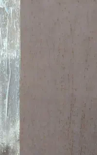 پاک کننده زنگ آهن