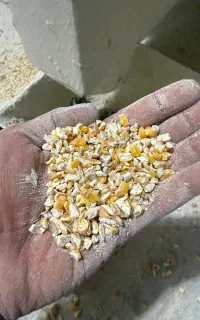 ذرت شکسته ( نیمکوب )