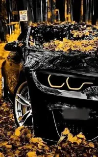خ حواله سورن خارجی تاراریرا207بی وای دی فیدلیتی و.