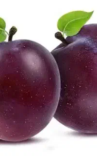 فروش آلوی درجه یک