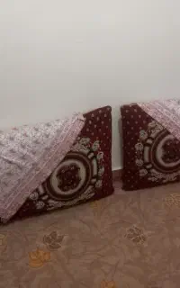 پشتی