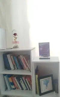 کمد لباس یا کتابخانه