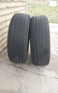 لاستیک تیبا استوک